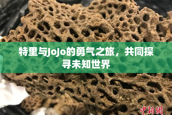 特里与JoJo的勇气之旅，共同探寻未知世界