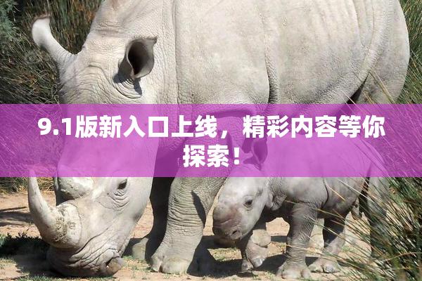 9.1版新入口上线，精彩内容等你探索！