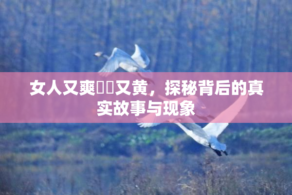 女人又爽❌‌又黄，探秘背后的真实故事与现象
