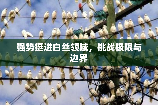 强势挺进白丝领域，挑战极限与边界