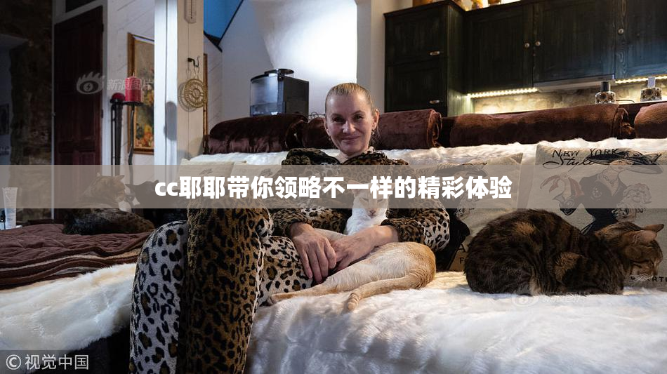 cc耶耶带你领略不一样的精彩体验