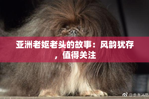 亚洲老妪老头的故事：风韵犹存，值得关注