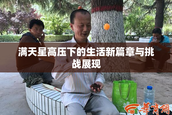 满天星高压下的生活新篇章与挑战展现