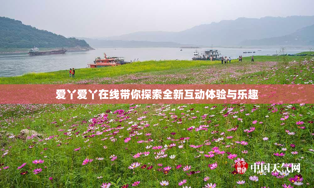 爱丫爱丫在线带你探索全新互动体验与乐趣