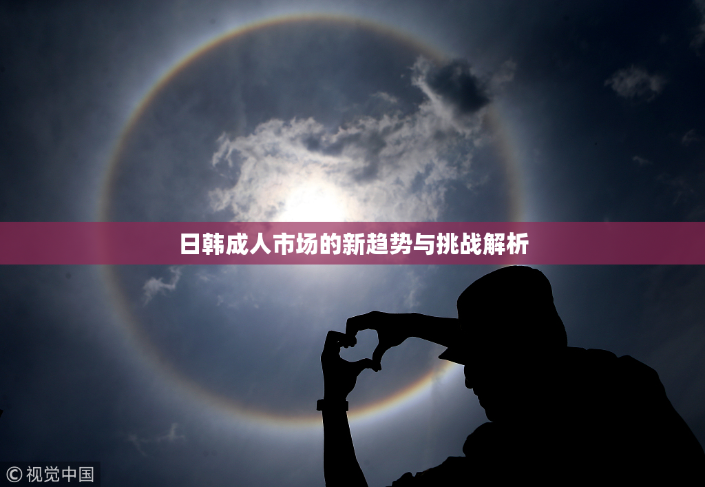 日韩成人市场的新趋势与挑战解析