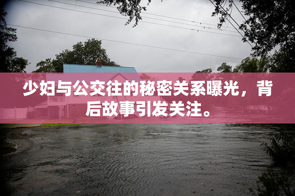 少妇与公交往的秘密关系曝光，背后故事引发关注。