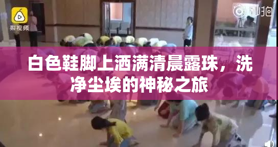 白色鞋脚上洒满清晨露珠，洗净尘埃的神秘之旅