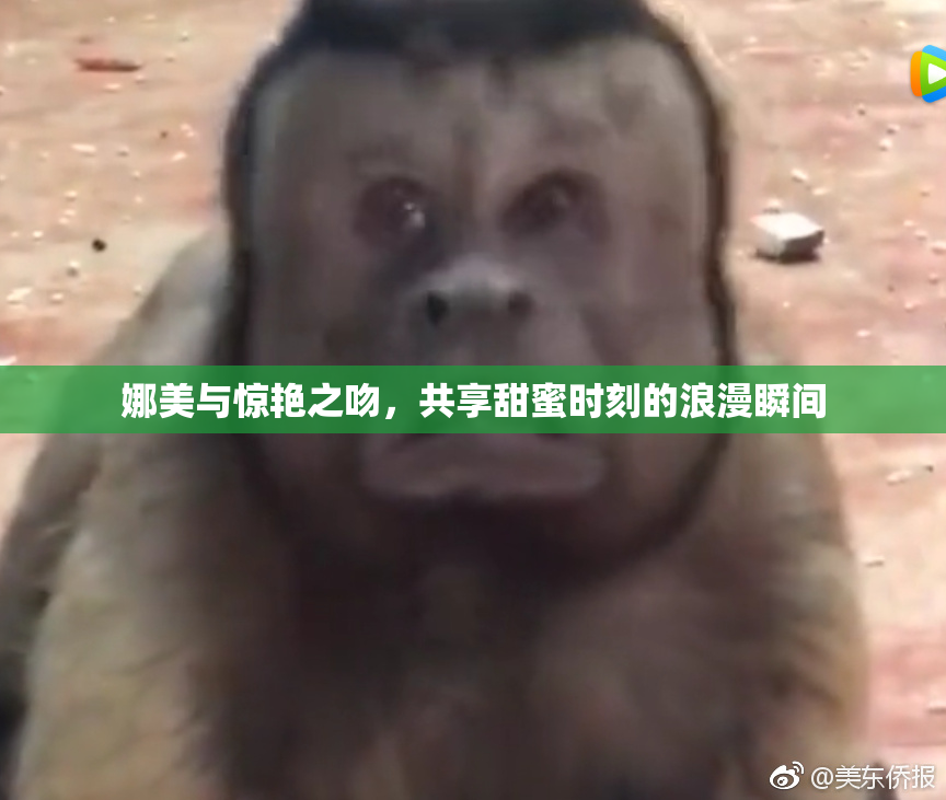 娜美与惊艳之吻，共享甜蜜时刻的浪漫瞬间