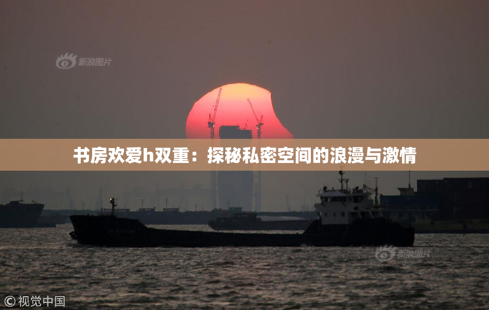 书房欢爱h双重：探秘私密空间的浪漫与激情