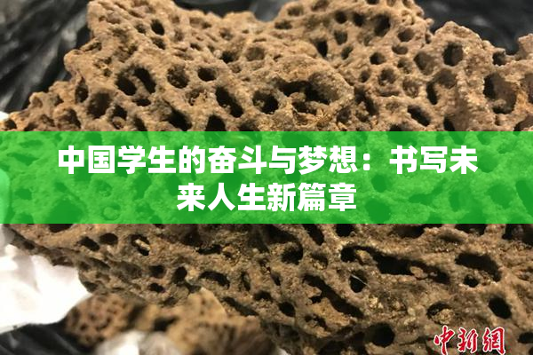 中国学生的奋斗与梦想：书写未来人生新篇章
