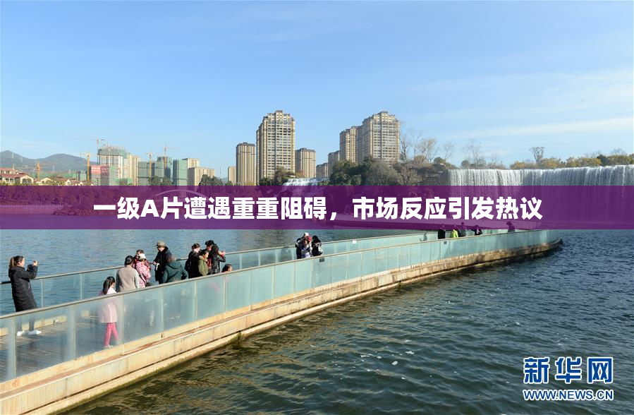 一级A片遭遇重重阻碍，市场反应引发热议