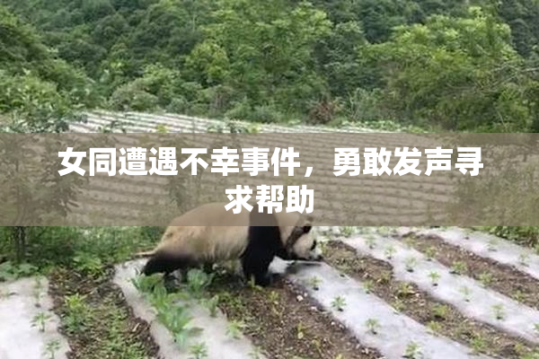 女同遭遇不幸事件，勇敢发声寻求帮助