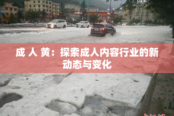 成 人 黄：探索成人内容行业的新动态与变化