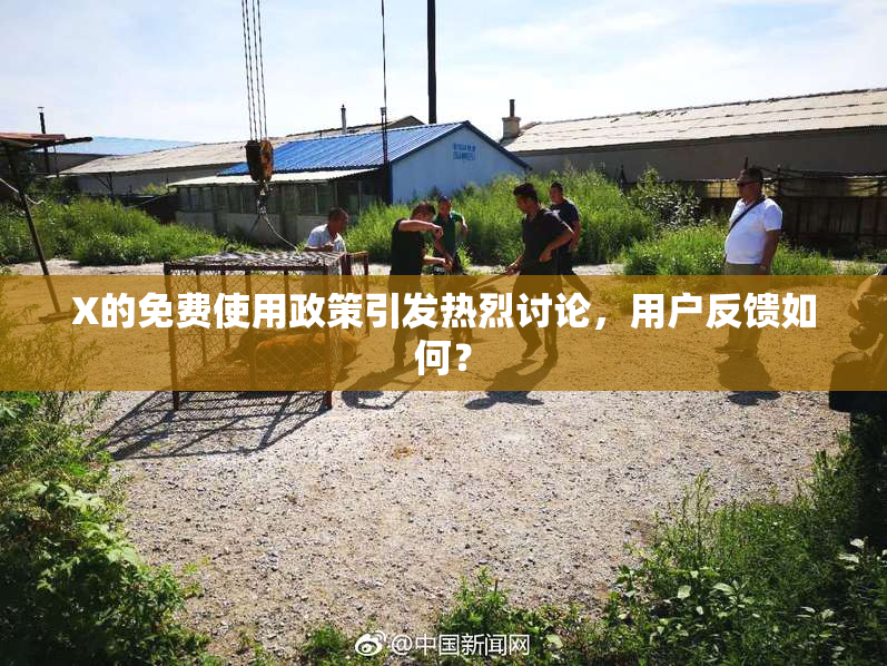 X的免费使用政策引发热烈讨论，用户反馈如何？