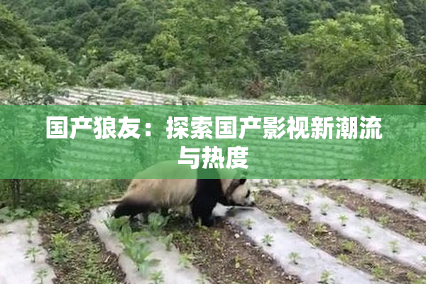 国产狼友：探索国产影视新潮流与热度