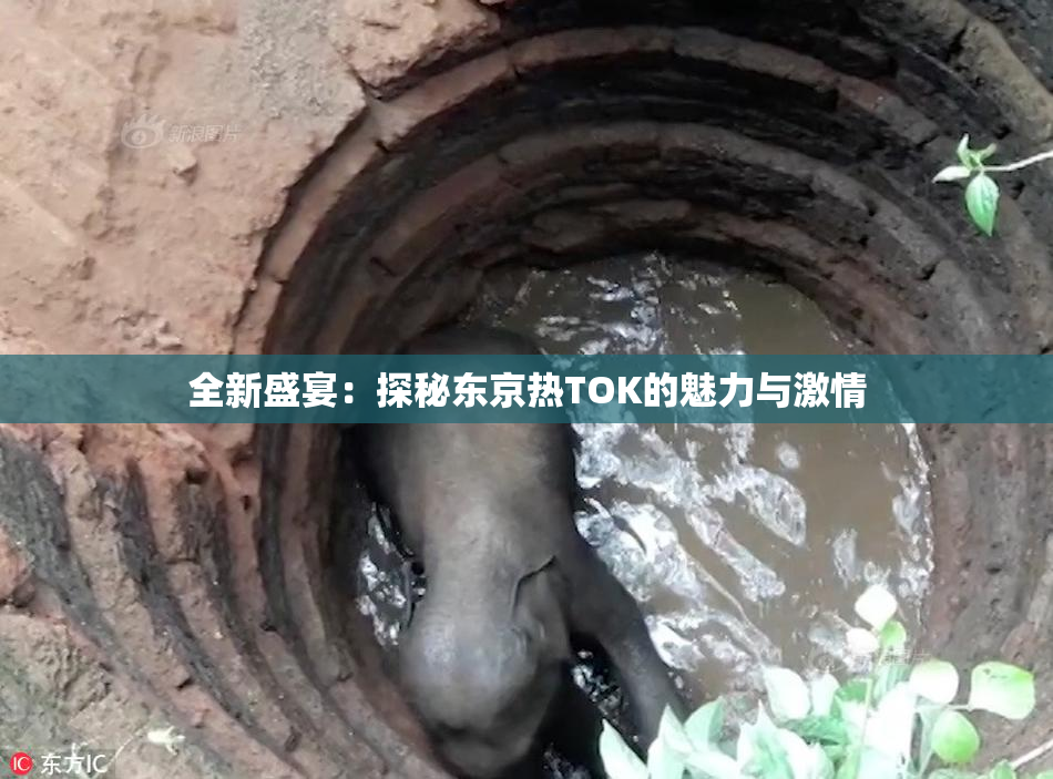 全新盛宴：探秘东京热TOK的魅力与激情