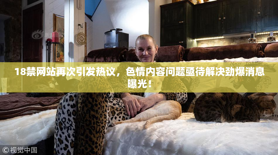 18禁网站再次引发热议，色情内容问题亟待解决劲爆消息曝光！