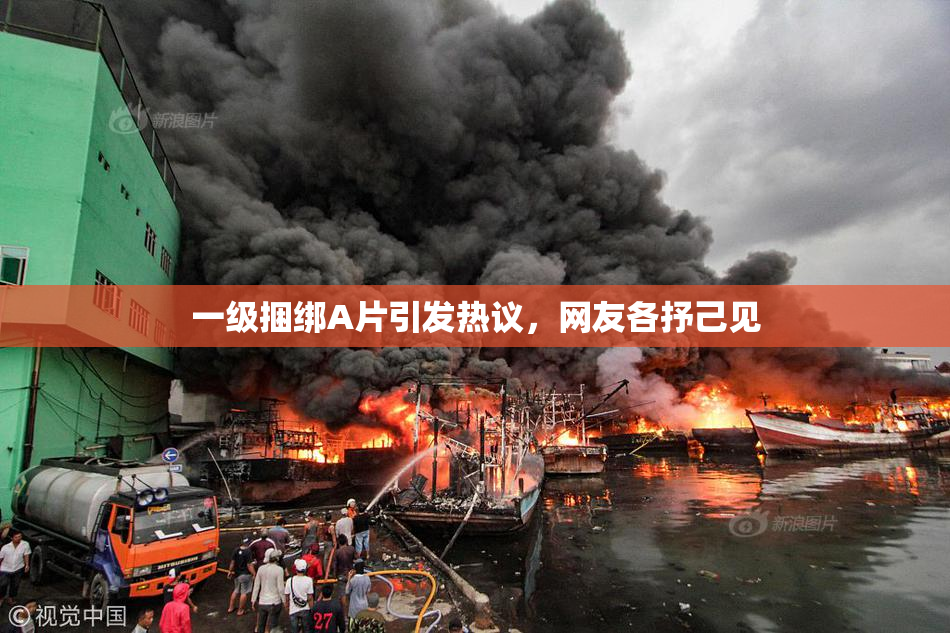 一级捆绑A片引发热议，网友各抒己见