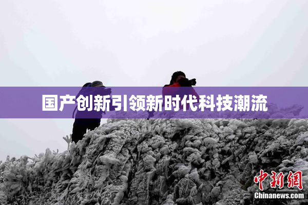 国产创新引领新时代科技潮流