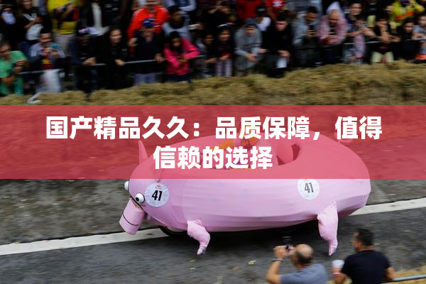 国产精品久久：品质保障，值得信赖的选择