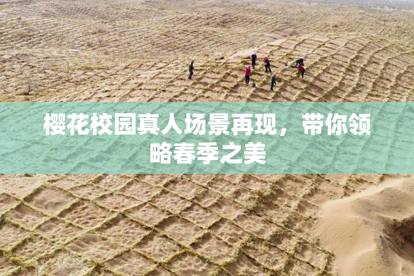 樱花校园真人场景再现，带你领略春季之美