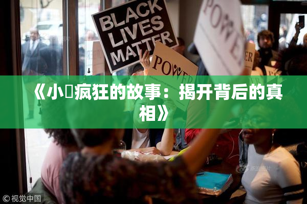 《小泬疯狂的故事：揭开背后的真相》