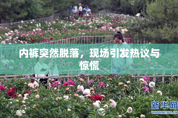 内裤突然脱落，现场引发热议与惊慌