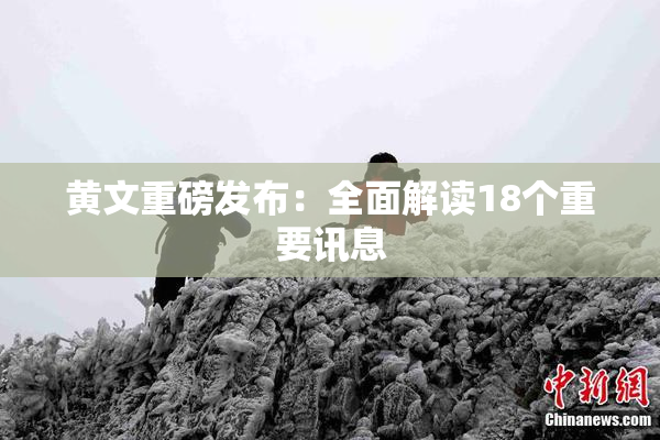黄文重磅发布：全面解读18个重要讯息
