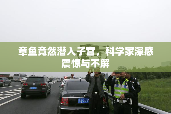 章鱼竟然潜入子宫，科学家深感震惊与不解