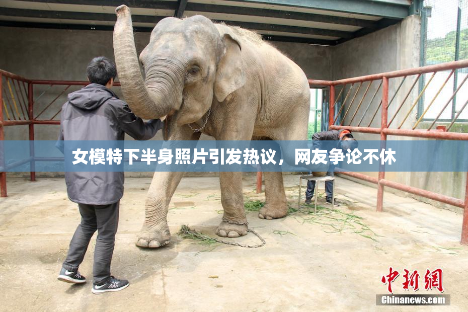 女模特下半身照片引发热议，网友争论不休