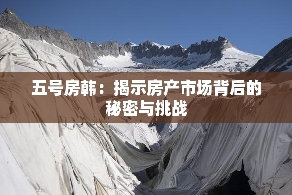 五号房韩：揭示房产市场背后的秘密与挑战