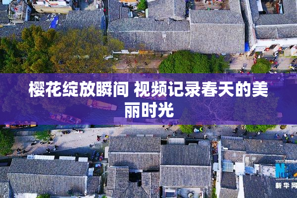樱花绽放瞬间 视频记录春天的美丽时光