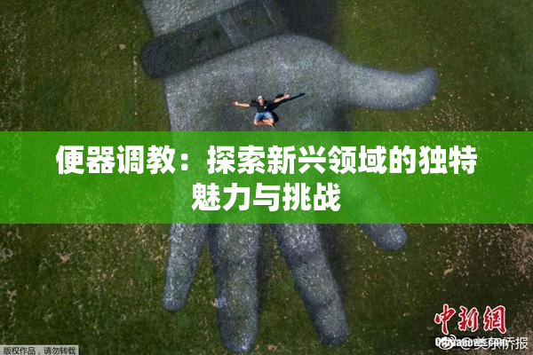 便器调教：探索新兴领域的独特魅力与挑战