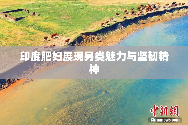 印度肥妇展现另类魅力与坚韧精神