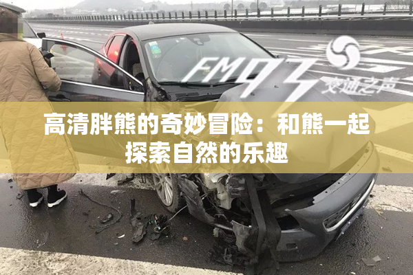 高清胖熊的奇妙冒险：和熊一起探索自然的乐趣