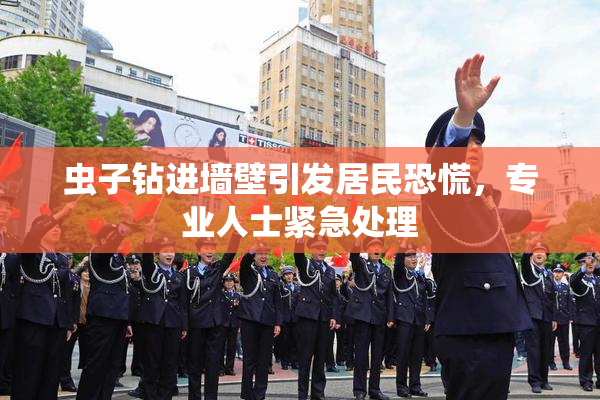 虫子钻进墙壁引发居民恐慌，专业人士紧急处理