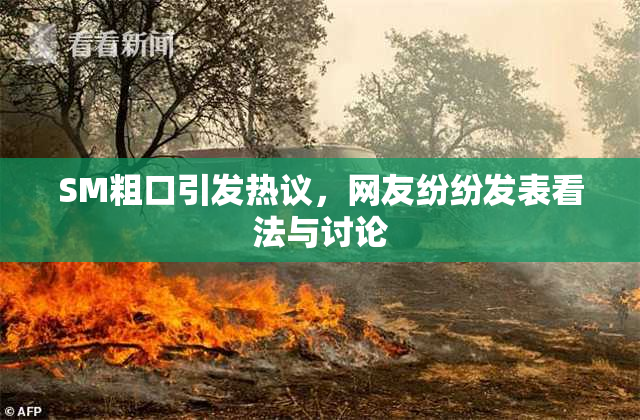 SM粗口引发热议，网友纷纷发表看法与讨论