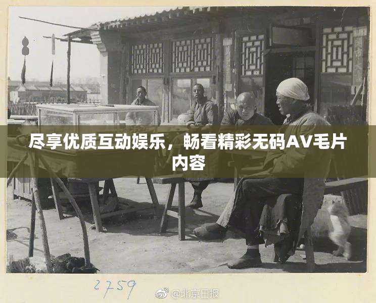 尽享优质互动娱乐，畅看精彩无码AV毛片内容