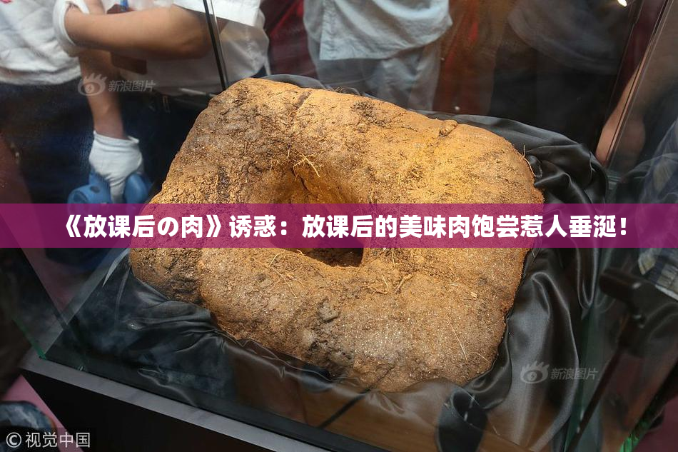《放课后の肉》诱惑：放课后的美味肉饱尝惹人垂涎！