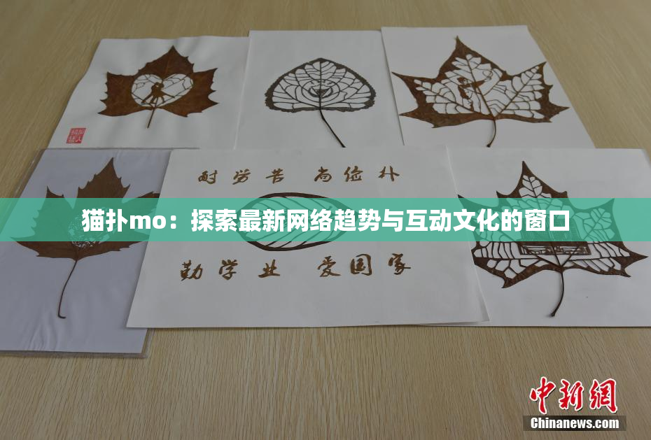 猫扑mo：探索最新网络趋势与互动文化的窗口