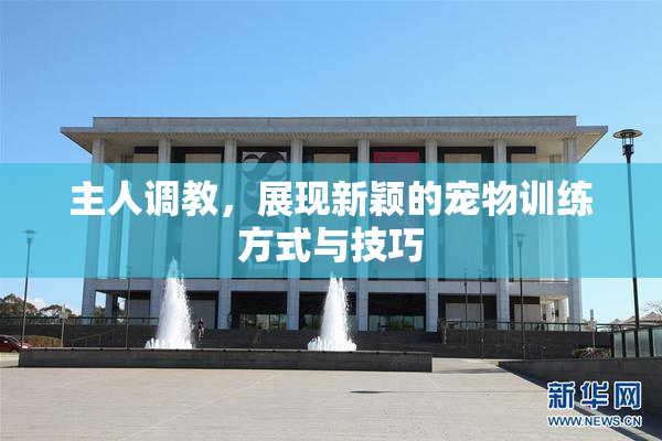 主人调教，展现新颖的宠物训练方式与技巧