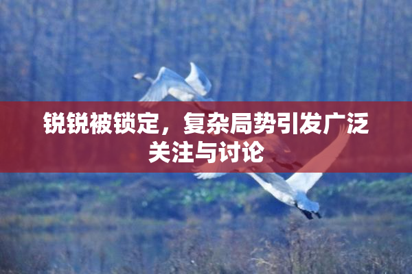 锐锐被锁定，复杂局势引发广泛关注与讨论