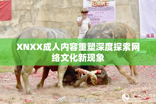 XNXX成人内容重塑深度探索网络文化新现象