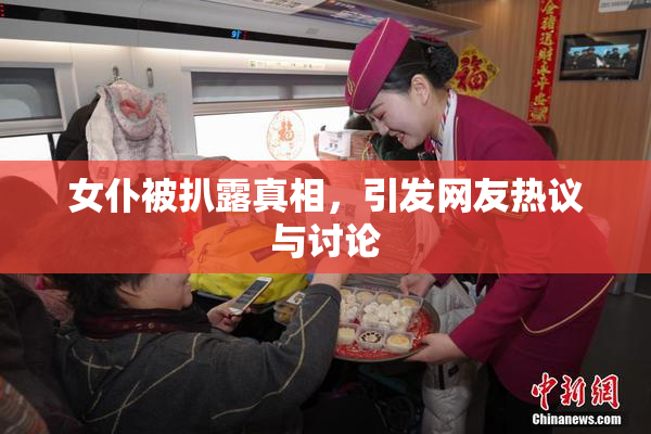 女仆被扒露真相，引发网友热议与讨论
