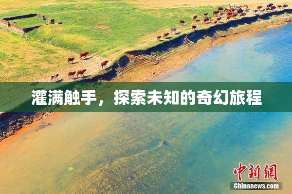 灌满触手，探索未知的奇幻旅程