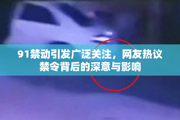 91禁动引发广泛关注，网友热议禁令背后的深意与影响