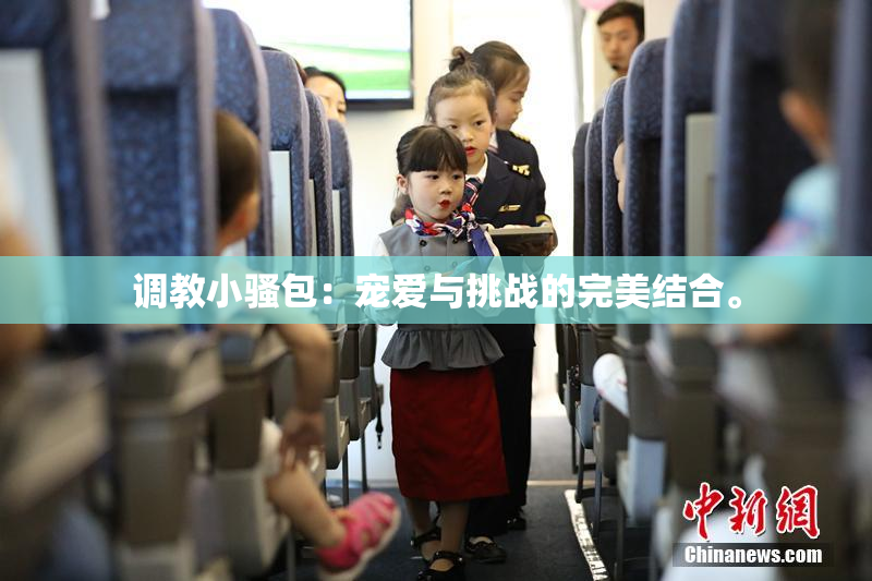 调教小骚包：宠爱与挑战的完美结合。