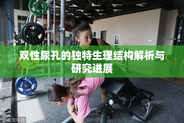 双性尿孔的独特生理结构解析与研究进展