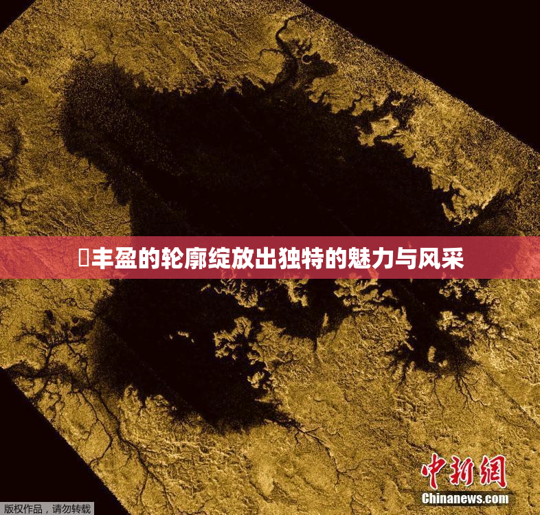 巜丰盈的轮廓绽放出独特的魅力与风采