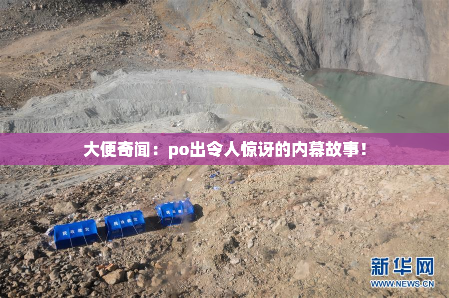 大便奇闻：po出令人惊讶的内幕故事！